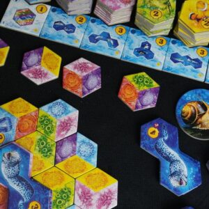 Aqua juego de mesa en español Devir componentes