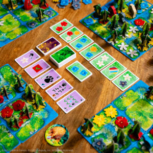 Componentes y cartas del juego de mesa Hutan en Inglés por la editorial Steamforged Games