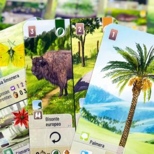 Cartas y componentes del juego de mesa Forest Shuffle en Español por la editorial Asmodee