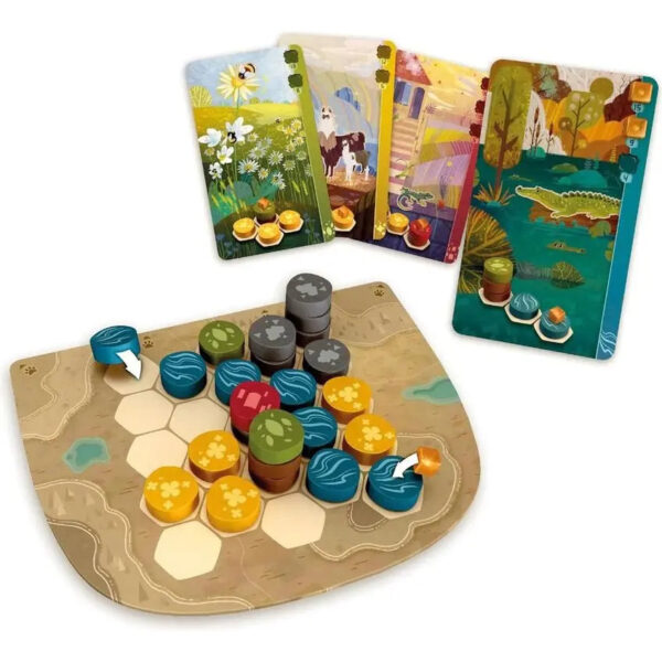 Componentes del juego de mesa Harmonies el juego de bazas en español por la editorial Asmodee